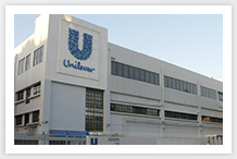 Unilever Egypt
